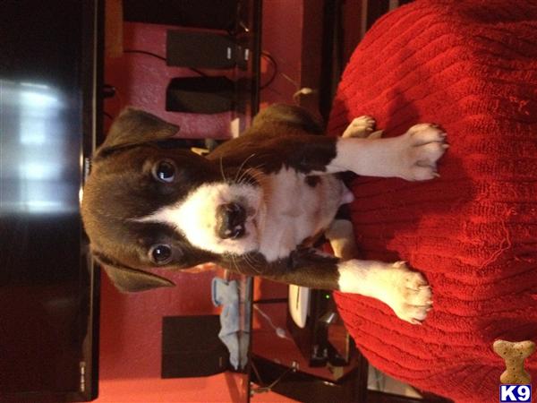 Pooh1203 Picture 2